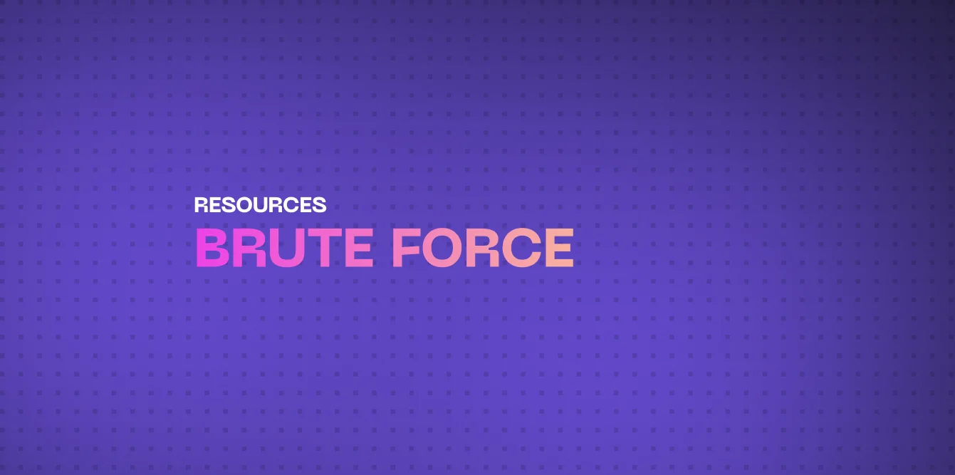 What is Brute Force?