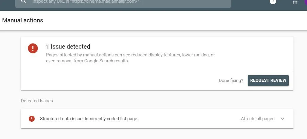 Google URL Issue